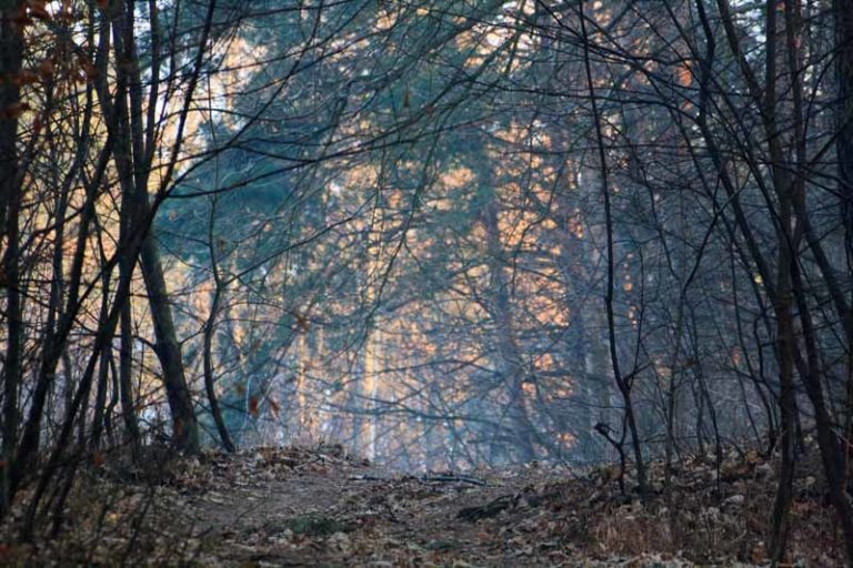 W drodze do domu, jak podróżować bezpiecznie Dzień 1